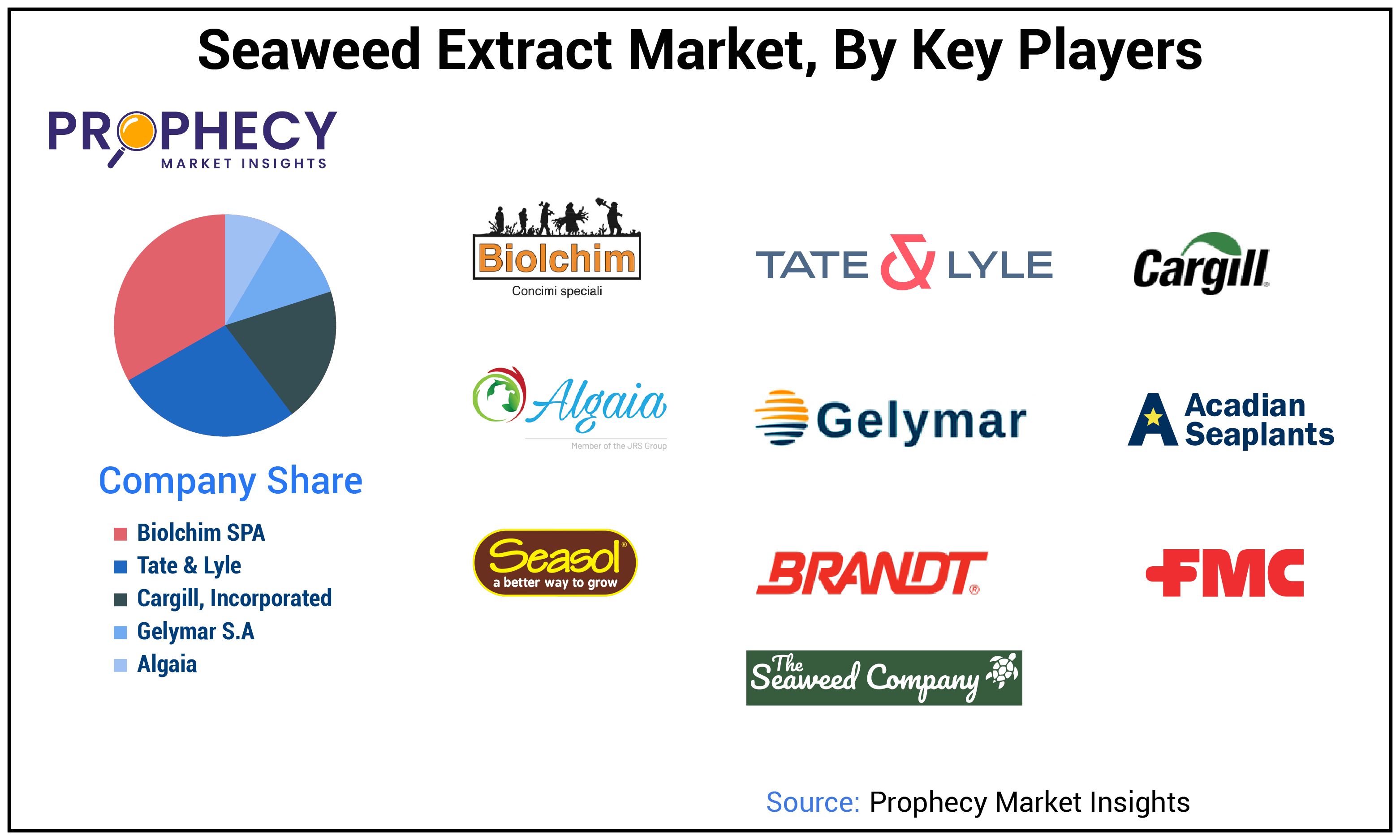 Seaweed Extract Market Size