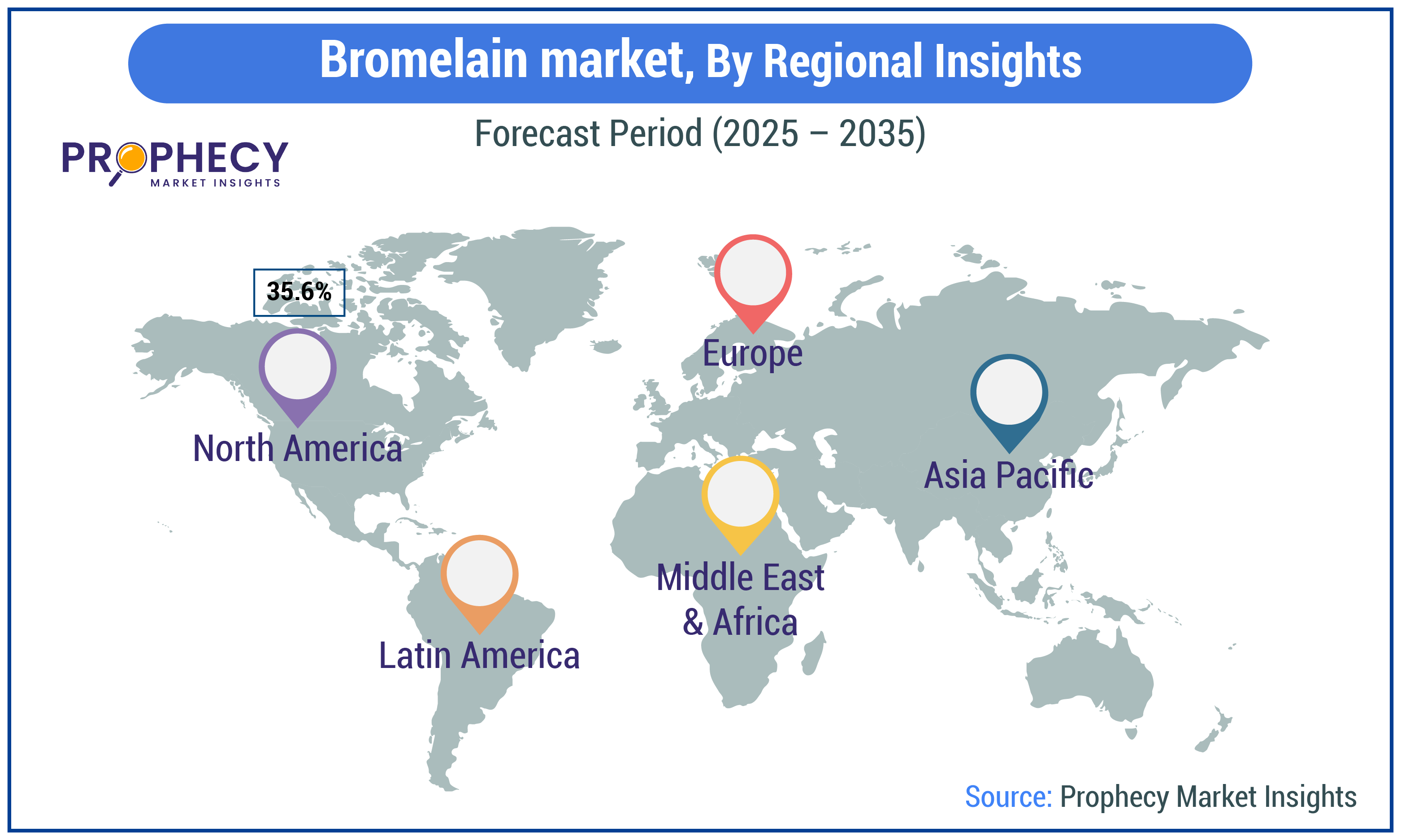 Bromelain Market Size