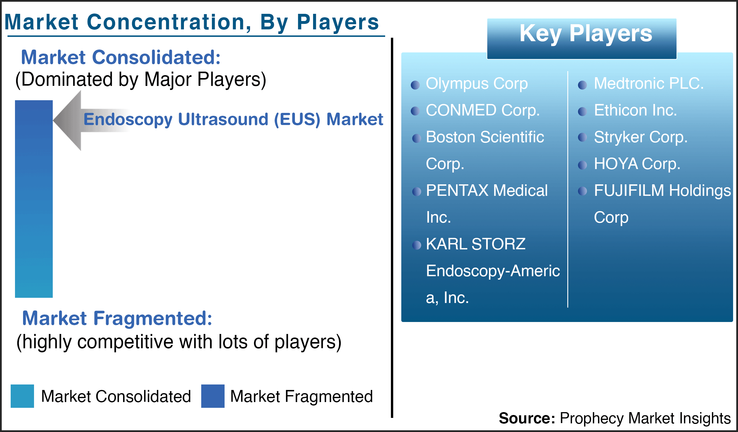 Endoscopy Ultrasound (EUS) Market Players
