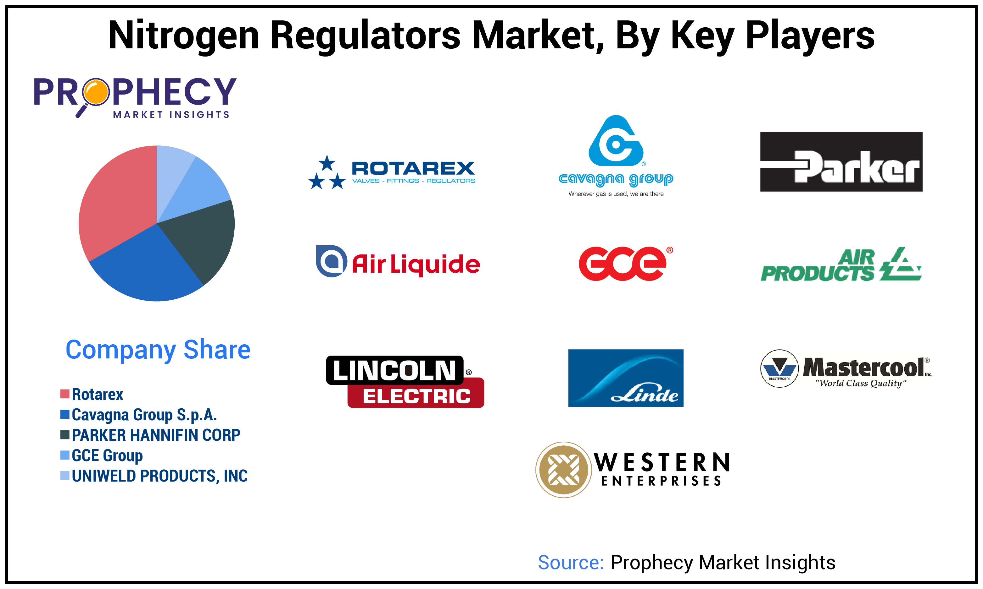 Nitrogen Regulators Market Share
