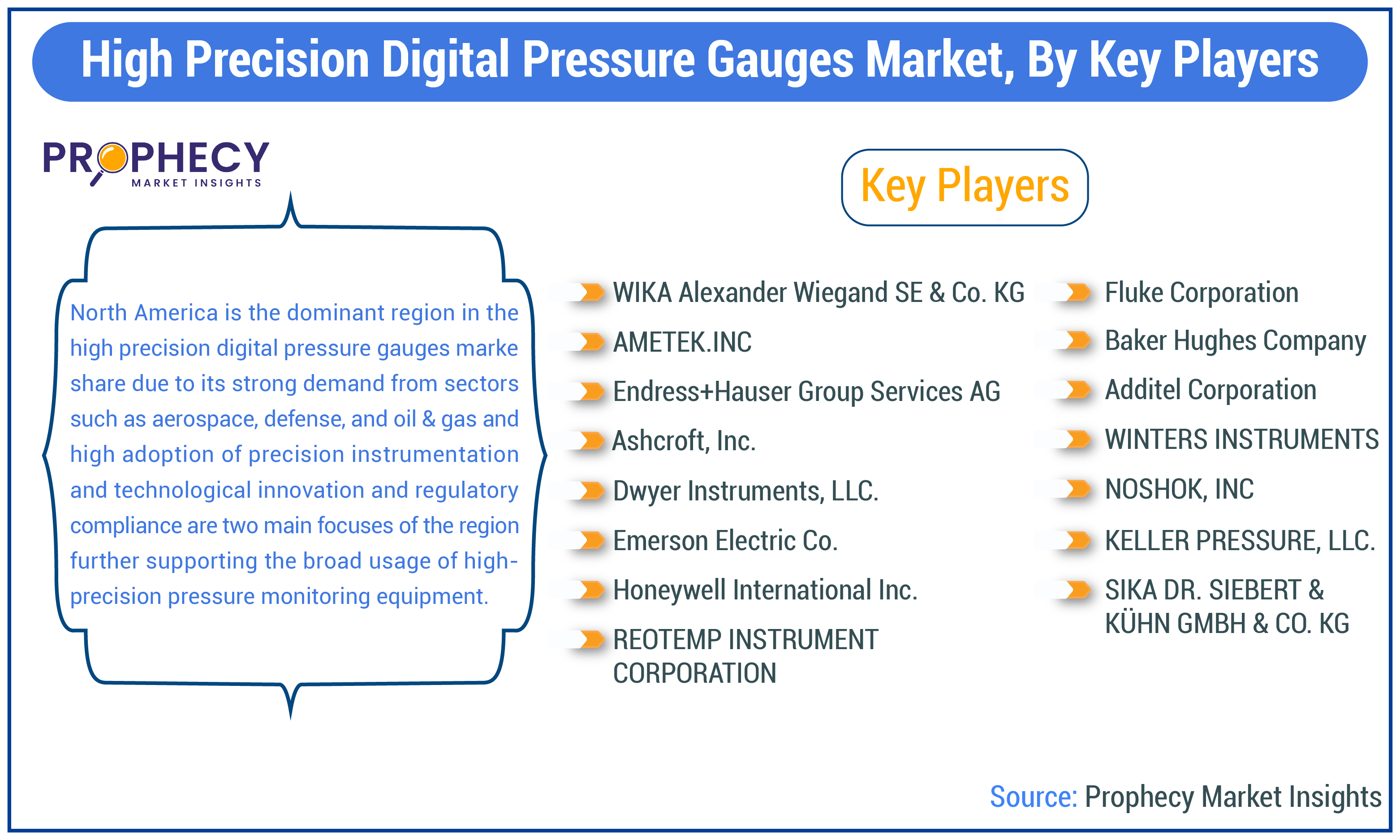 High Precision Digital Pressure Gauges Market Share