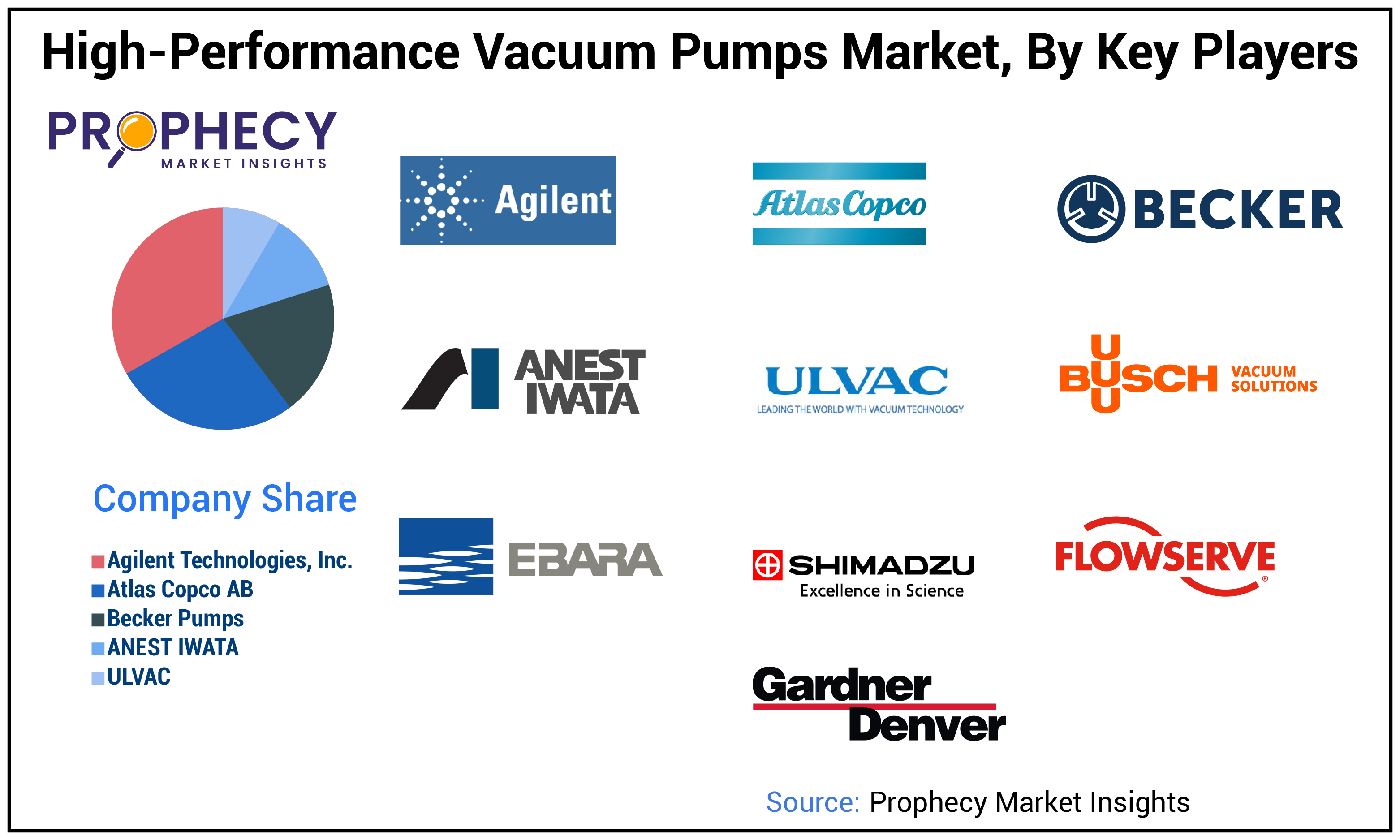 High-performance Vacuum Pumps Market Share