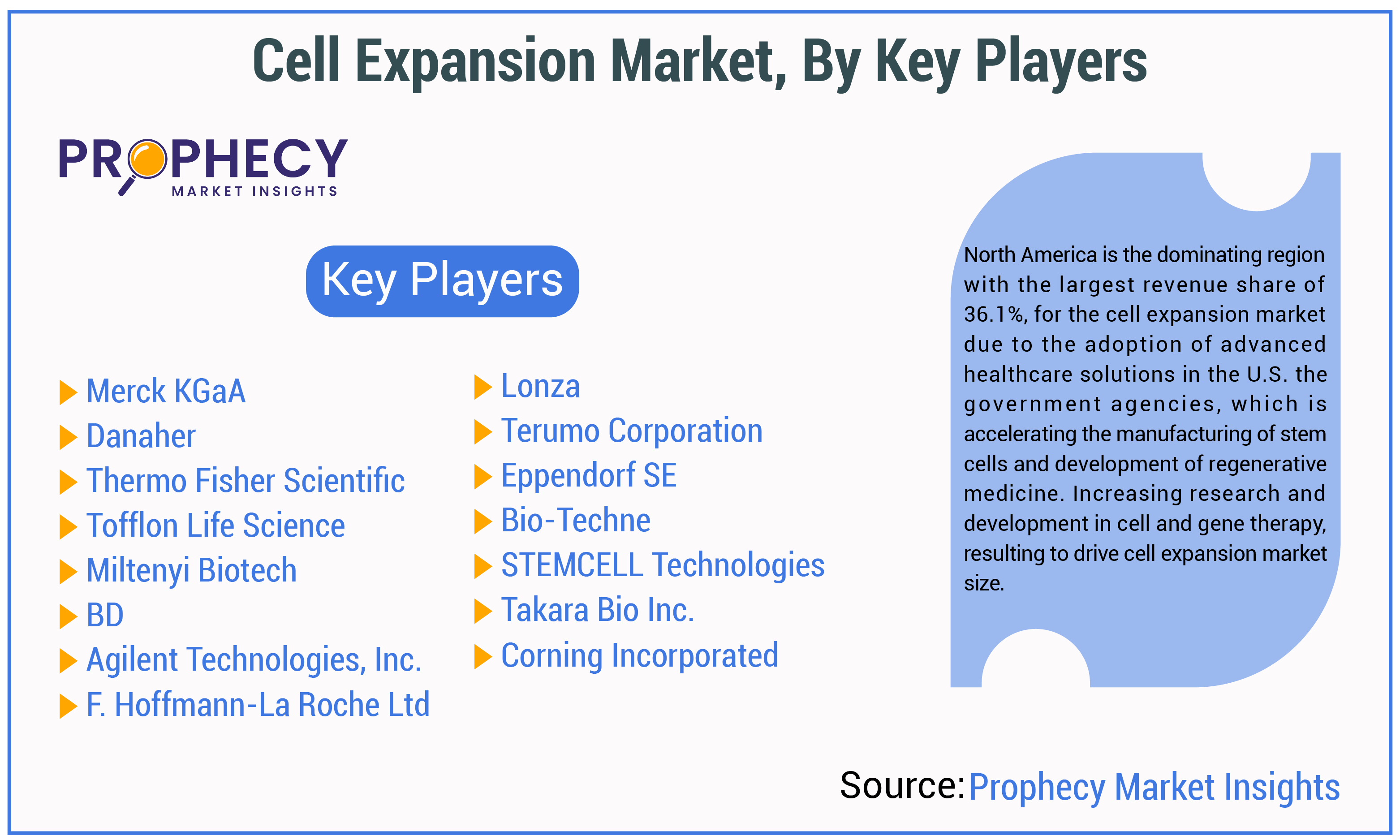 Cell Expansion Market By Key Players Insights Forecast Period 2025-2035