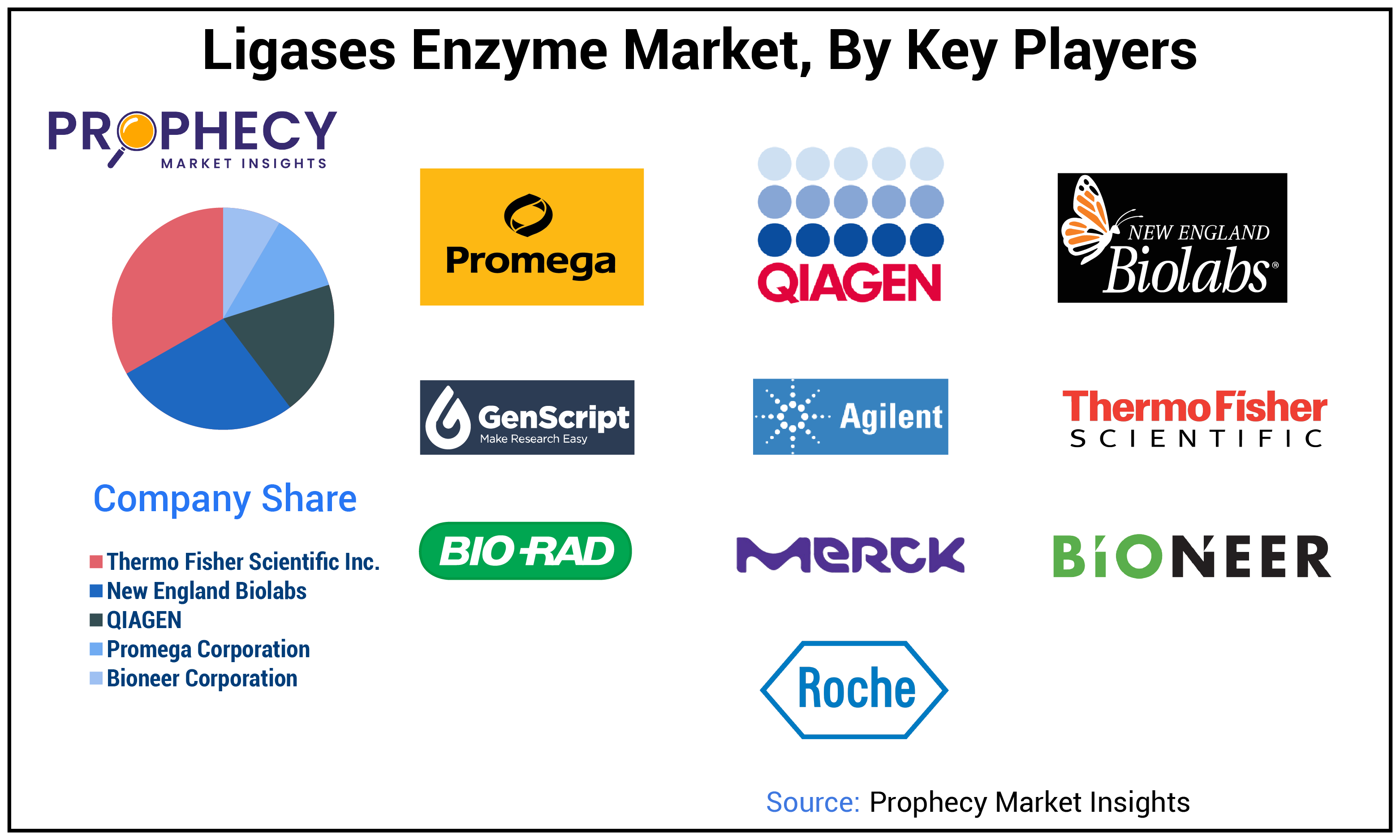 Ligases Enzyme Market Share Ligases Enzyme Market Share