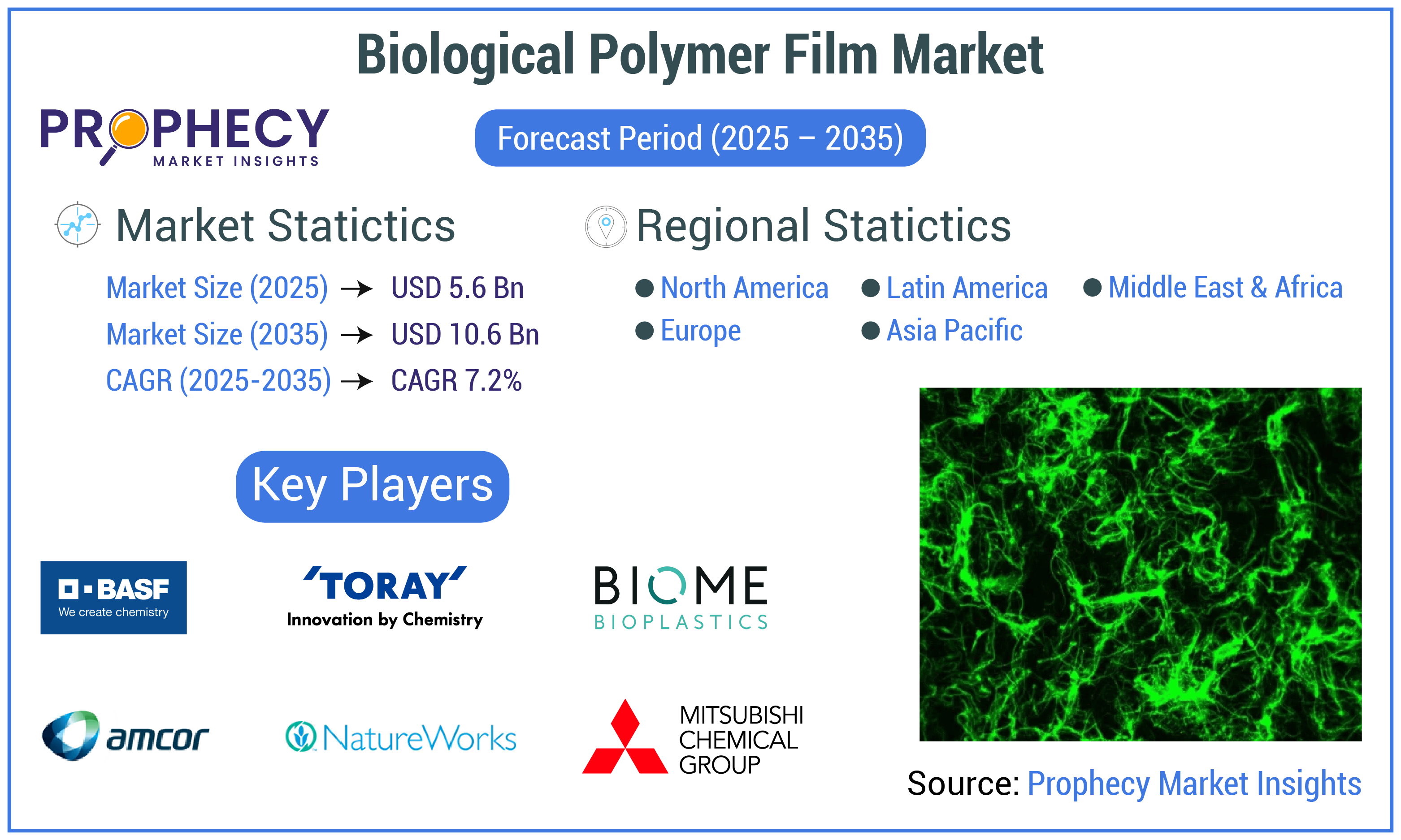 Biological Polymer Film Market