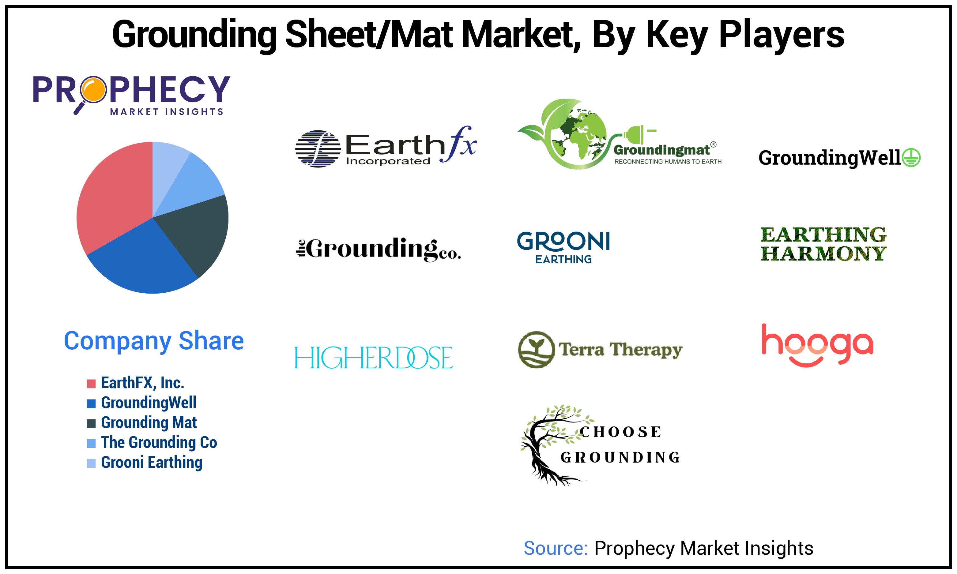 Grounding Sheet/Mat Market Share Grounding Sheet/Mat Market Share