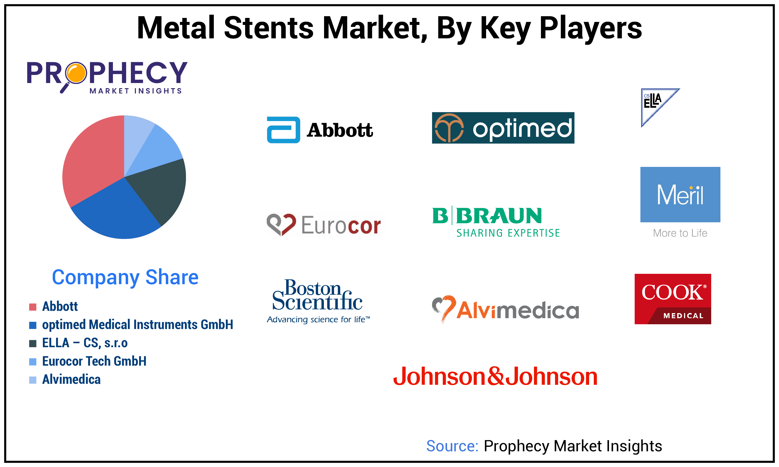 Metal Stents Market Share