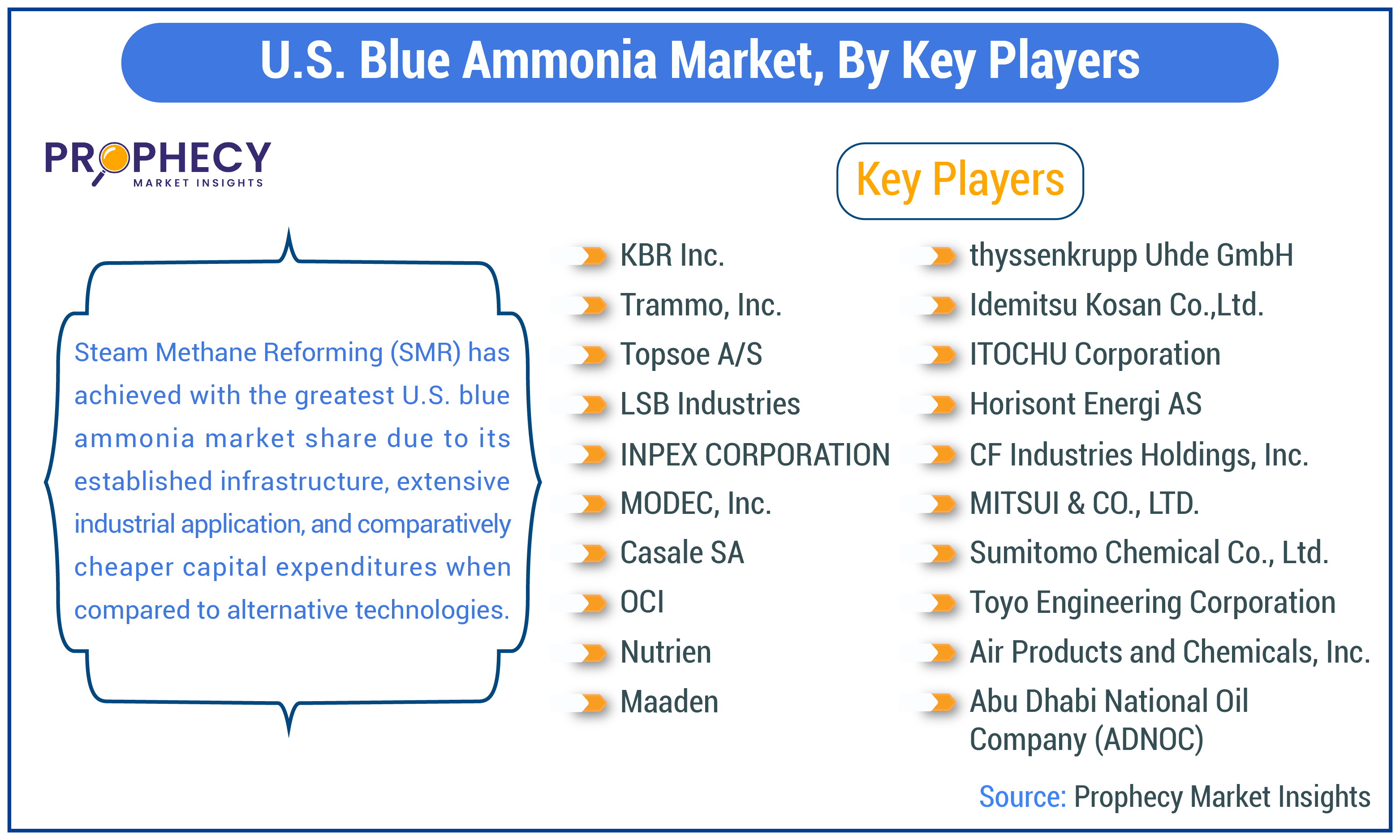 U.S. Blue Ammonia Market U.S. Blue Ammonia Market