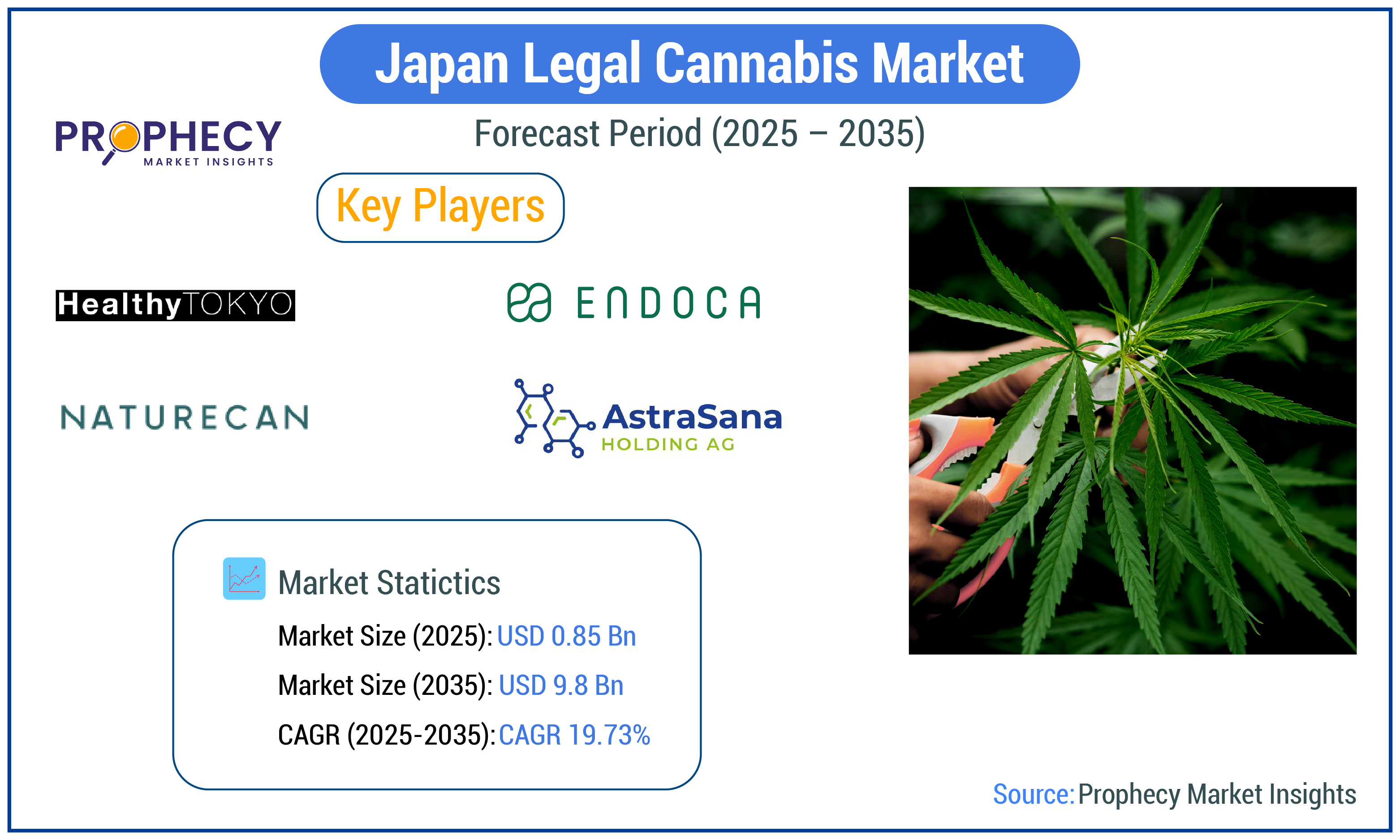 Japan Legal Cannabis Market Japan Legal Cannabis Market