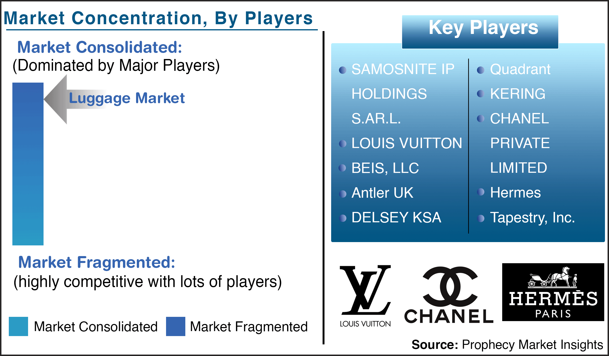 Luggage Market Key Players