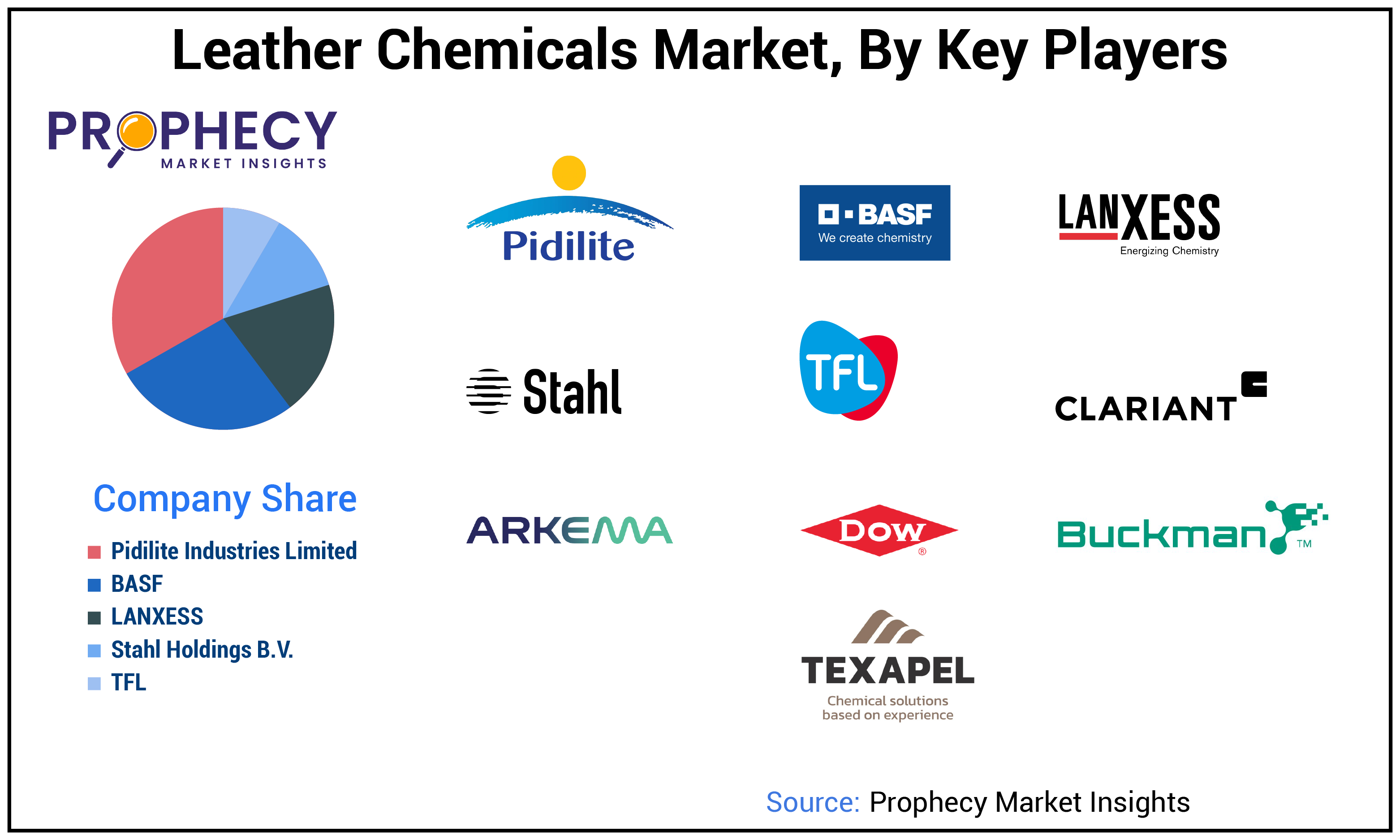 Leather Chemicals Market Share